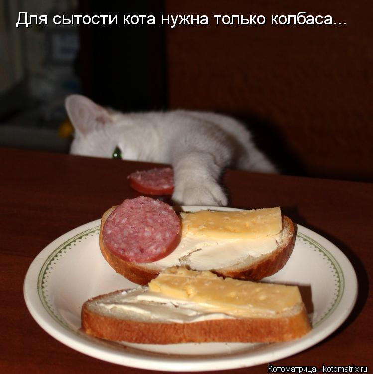 Для сытости кота нужна только колбаса...... Котоматрица: Для сытости кота нужна только колбаса...