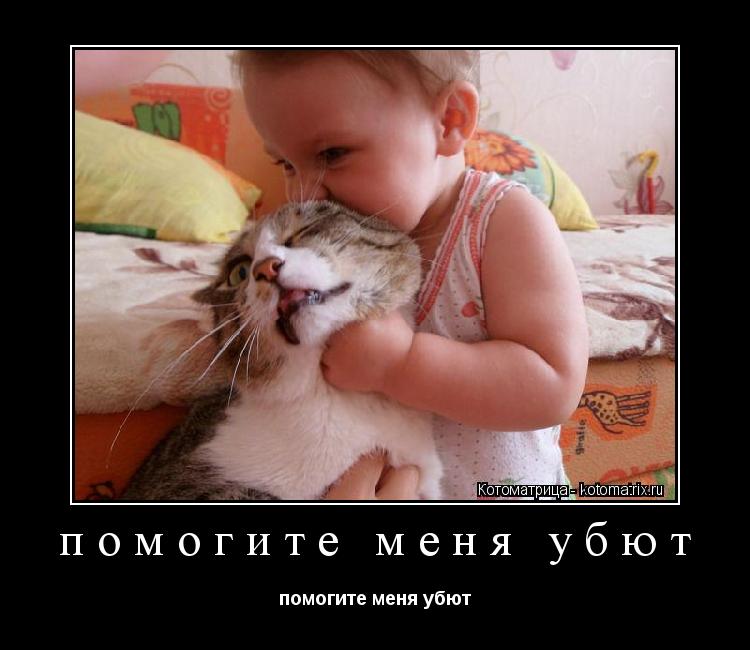 помогите меня убют помогите меня убют... Котоматрица: помогите меня убют помогите меня убют