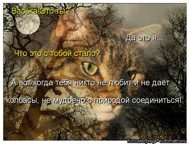 Котоматрица: Васька!Это ты? Да это я... Что это с тобой стало? А вот когда тебя никто не любит и не даёт  колбасы, не мудрено с природой соединиться!
