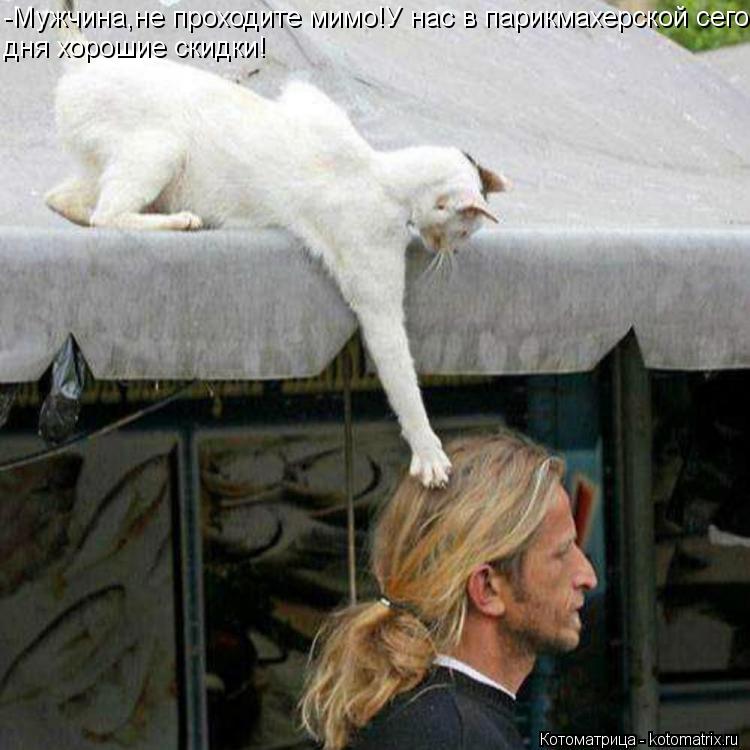 Котоматрица: -Мужчина,не проходите мимо!У нас в парикмахерской сего- дня хорошие скидки!