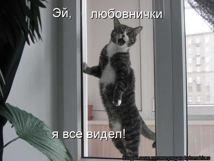 Котоматрица: Эй,  любовнички я все видел!
