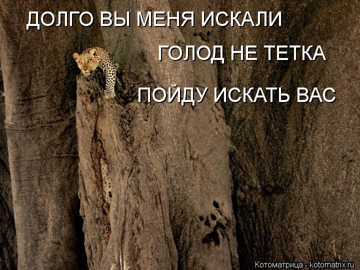 Котоматрица: ДОЛГО ВЫ МЕНЯ ИСКАЛИ ГОЛОД НЕ ТЕТКА ПОЙДУ ИСКАТЬ ВАС