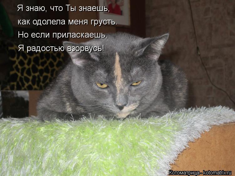 Я знаю, что Ты знаешь, как одолела меня грусть. Но если приласкаешь, Я радостью взорвусь!... Котоматрица: Я знаю, что Ты знаешь, как одолела меня грусть. Но если приласкаешь, Я радостью взорвусь!