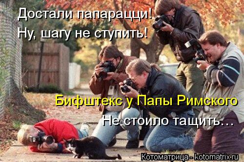 http://kotomatrix.ru/images/lolz/2013/11/10/kotomatritsa_Tr2.jpg