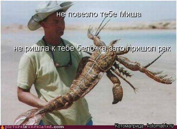 не повезло тебе Миша не ришла к тебе белочка,зато пришол рак... Котоматрица: не повезло тебе Миша не ришла к тебе белочка,зато пришол рак