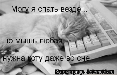 Котоматрица: Могу я спать везде... но мышь любая нужна коту даже во сне