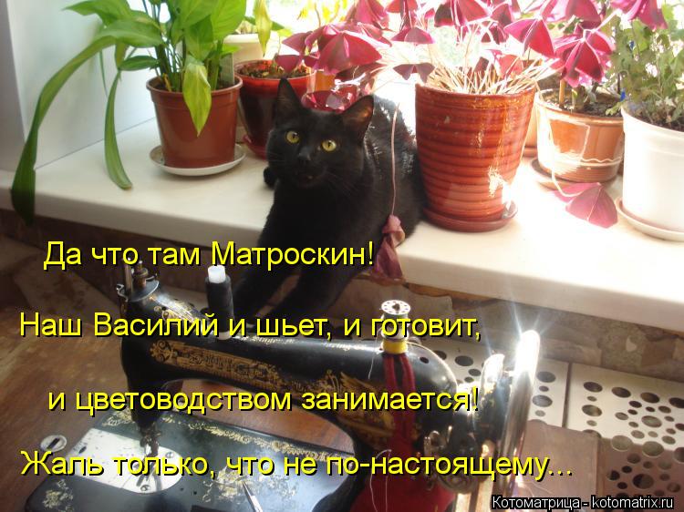 Котоматрица: Жаль только, что не по-настоящему... Да что там Матроскин! Наш Василий и шьет, и готовит,   и цветоводством занимается!