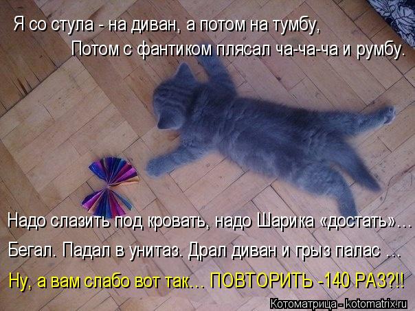 Надо слазить под кровать, надо Шарика «достать»… Бегал. Падал в унитаз. Драл диван и грыз палас … Ну... Котоматрица: Надо слазить под кровать, надо Шарика «достать»… Бегал. Падал в унитаз. Драл диван и грыз палас … Ну, а вам слабо вот так… ПОВТОРИТЬ -140 РАЗ?!