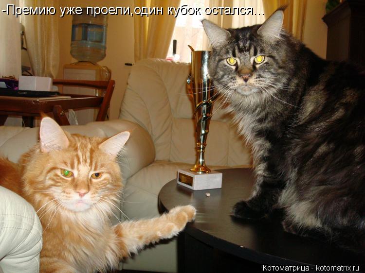 Котоматрица: -Премию уже проели,один кубок остался...