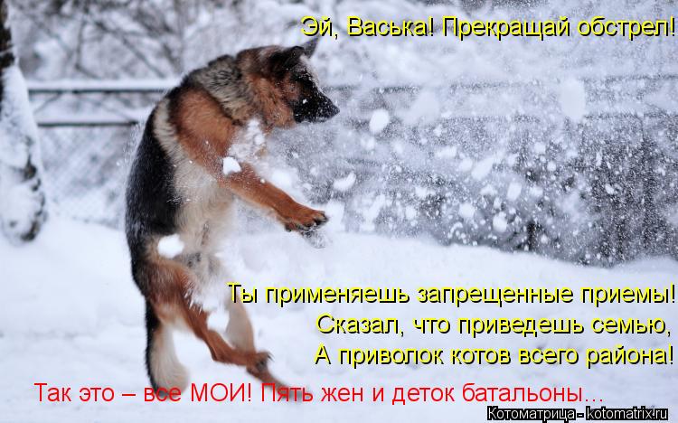 А приволок котов всего района! Сказал, что приведешь семью, Ты применяешь запрещенные приемы! Эй, Вас... Котоматрица: А приволок котов всего района! Сказал, что приведешь семью, Ты применяешь запрещенные приемы! Эй, Васька! Прекращай обстрел! Так это – все МО