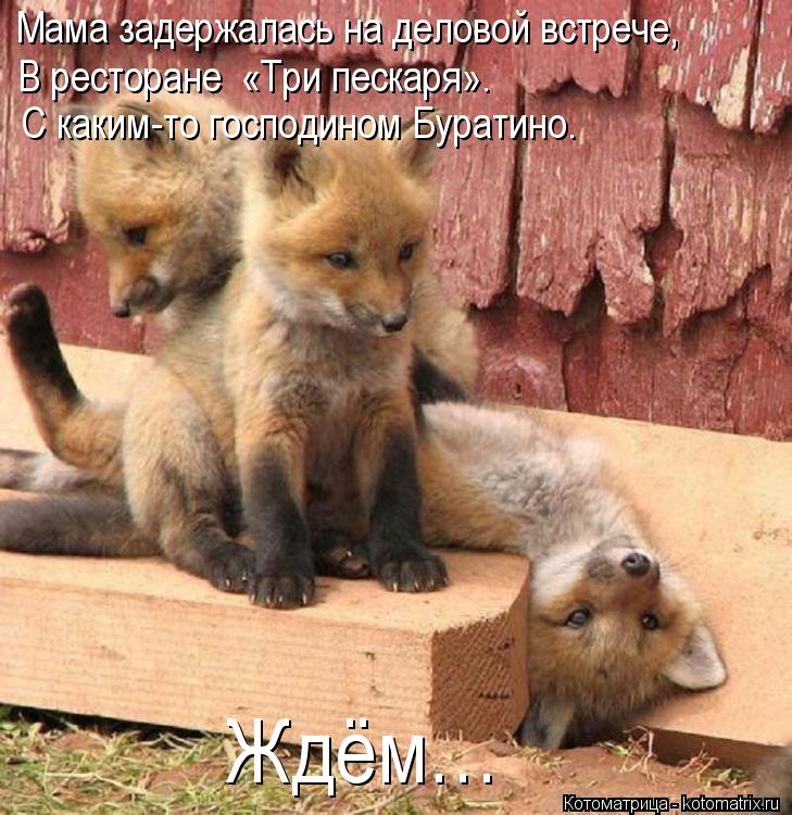 Мама задержалась на деловой встрече, С каким-то господином Буратино. В ресторане «Три пескаря». Ждём... Котоматрица: Мама задержалась на деловой встрече, С каким-то господином Буратино. В ресторане «Три пескаря». Ждём…