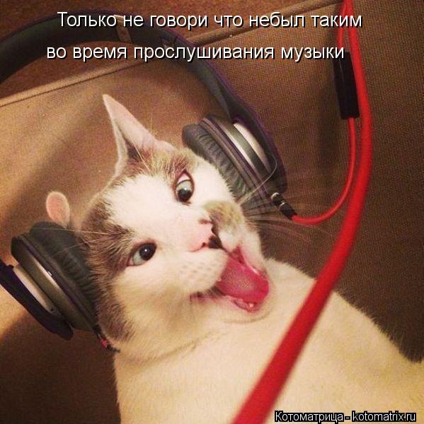 Котоматрица: Только не говори что небыл таким  во время прослушивания музыки
