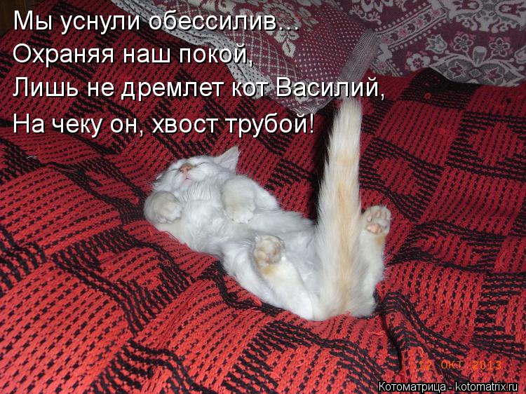 Котоматрица: Мы уснули обессилив… Охраняя наш покой, Лишь не дремлет кот Василий, На чеку он, хвост трубой!