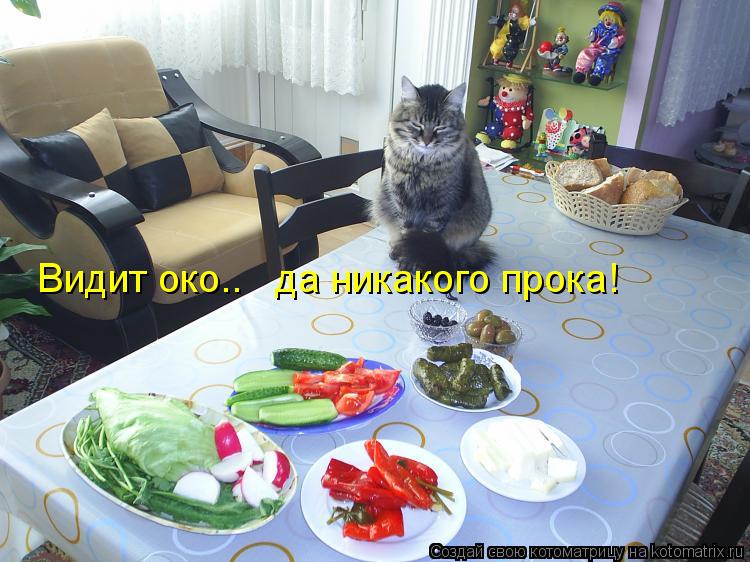 Видит око.. да никакого прока!... Котоматрица: Видит око.. да никакого прока!