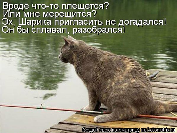 Или мне мерещится? Вроде что-то плещется? Он бы сплавал, разобрался! Эх, Шарика пригласить не догадал... Котоматрица: Или мне мерещится? Вроде что-то плещется? Он бы сплавал, разобрался! Эх, Шарика пригласить не догадался!