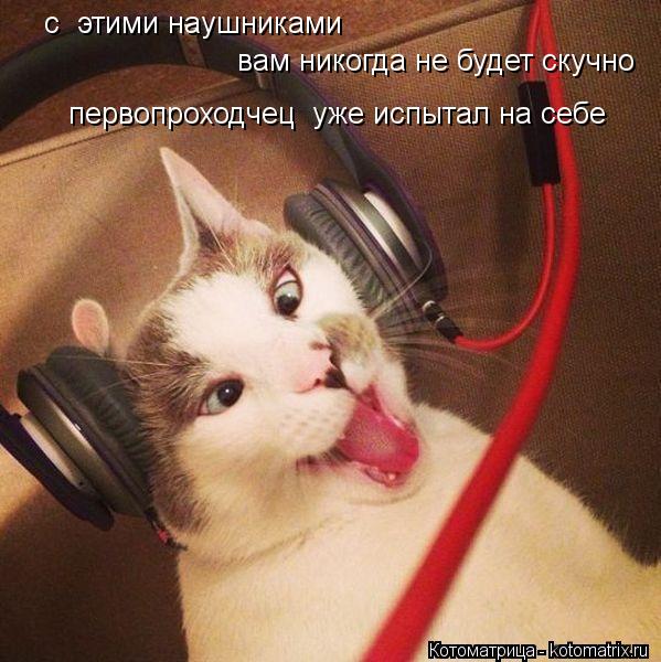 Котоматрица: с  этими наушниками    вам никогда не будет скучно  первопроходчец  уже испытал на себе