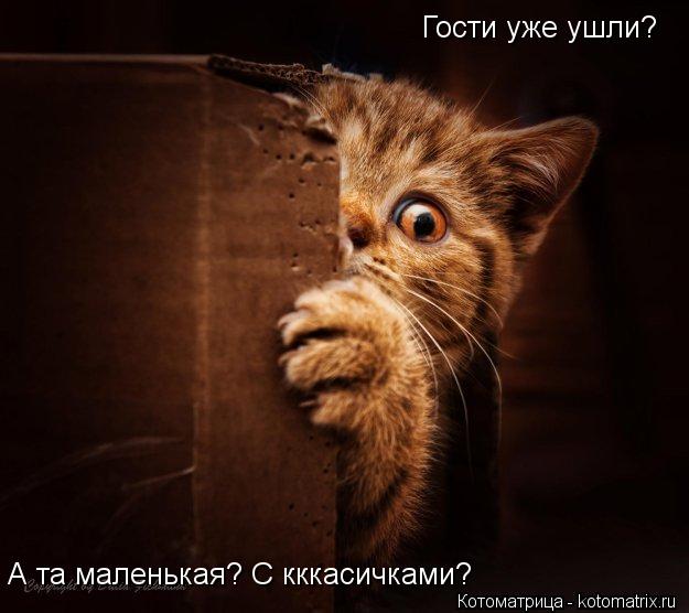 Котоматрица: Гости уже ушли? А та маленькая? С кккасичками?
