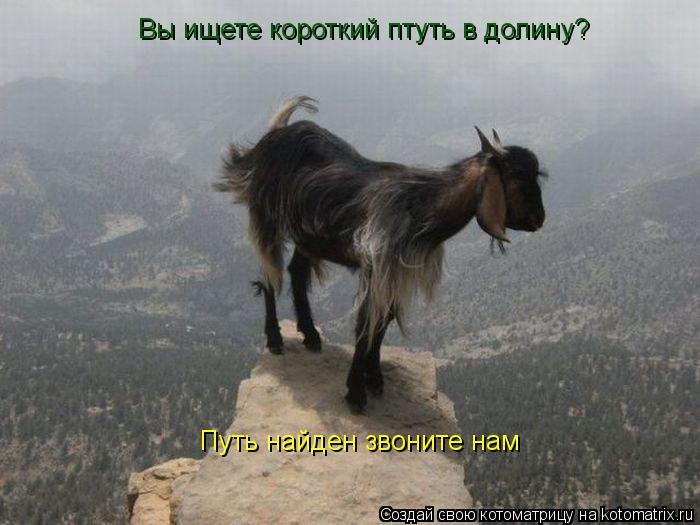 Котоматрица: Вы ищете короткий птуть в долину?  Путь найден звоните нам