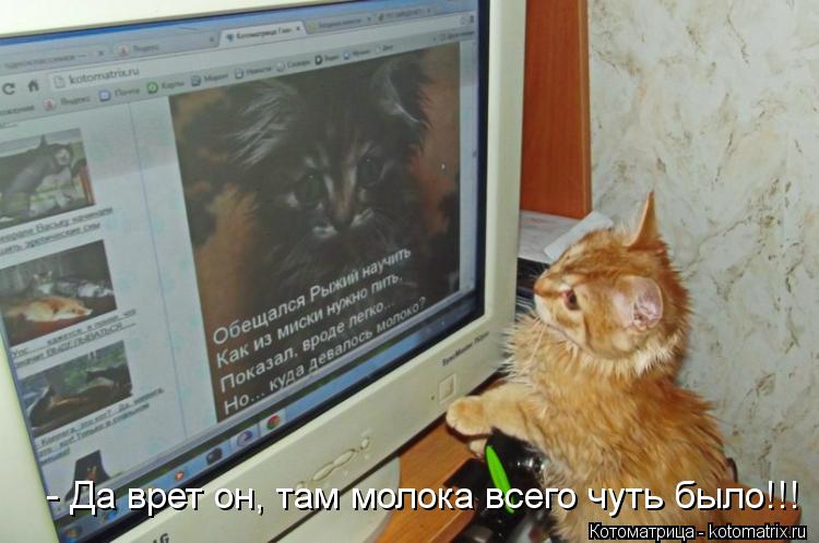 Котоматрица: - Да врет он, там молока всего чуть было!!!