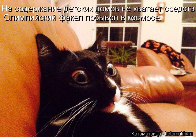 Котоматрица: На содержание детских домов не хватает средств. Олимпийский факел побывол в космосе.
