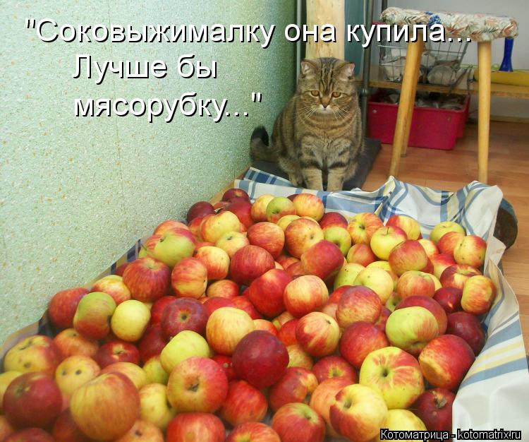 "Соковыжималку она купила... Лучше бы мясорубку..."... Котоматрица: "Соковыжималку она купила... Лучше бы мясорубку..."