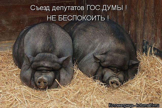 Котоматрица: Съезд депутатов ГОС.ДУМЫ ! НЕ БЕСПОКОИТЬ !