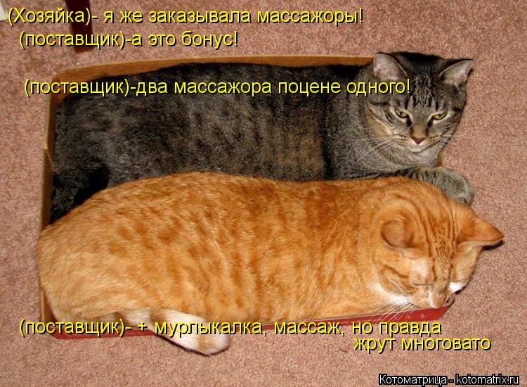 Котоматрица: (Хозяйка)- я же заказывала массажоры! (поставщик)-а это бонус! (поставщик)-два массажора поцене одного! (поставщик)- + мурлыкалка, массаж, но пра