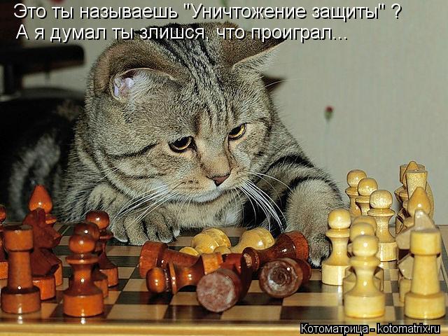 Это ты называешь "Уничтожение защиты" ? А я думал ты злишся, что проиграл...... Котоматрица: Это ты называешь "Уничтожение защиты" ? А я думал ты злишся, что проиграл...