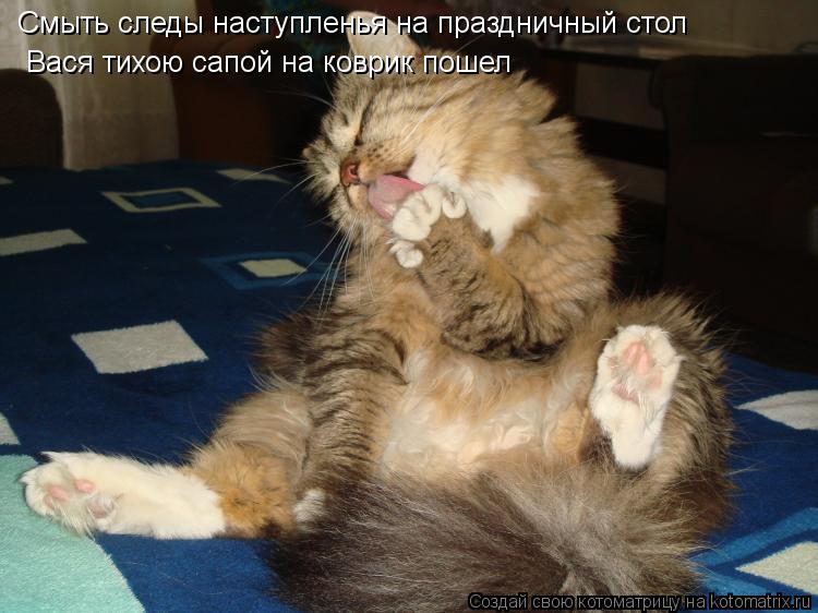 Смыть следы наступленья на праздничный стол Вася тихою сапой на коврик пошел... Котоматрица: Смыть следы наступленья на праздничный стол Вася тихою сапой на коврик пошел