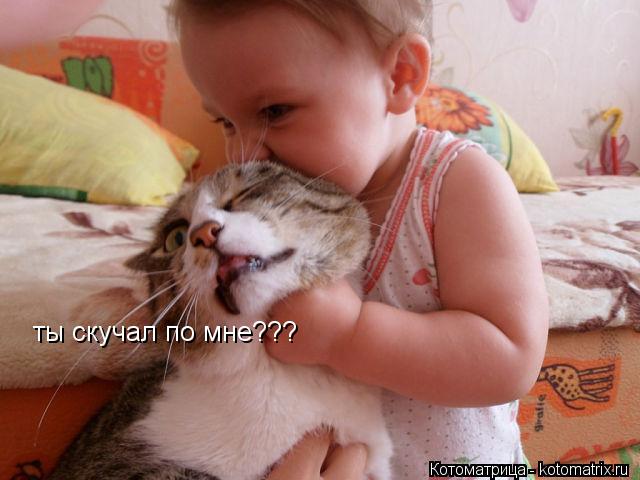Котоматрица: ты скучал по мне???