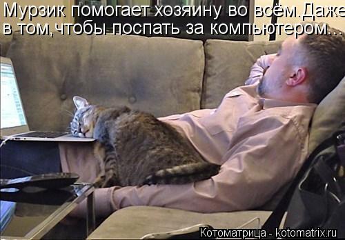 Мурзик помогает хозяину во всём.Даже в том,чтобы поспать за компьютером...... Котоматрица: Мурзик помогает хозяину во всём.Даже в том,чтобы поспать за компьютером...