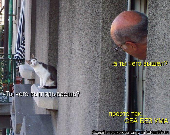 Котоматрица: -Ты чего выглядываешь? -а ты чего вышел? просто так... ОБА БЕЗ УМА