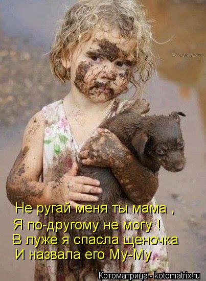 Не ругай меня ты мама , Я по-другому не могу ! В луже я спасла щеночка И назвала его Му-Му .... Котоматрица: Не ругай меня ты мама , Я по-другому не могу ! В луже я спасла щеночка И назвала его Му-Му .