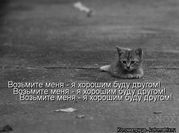 Возьмите меня - я хорошим буду другом! Возьмите меня - я хорошим буду другом! Возьмите меня - я хорош... Котоматрица: Возьмите меня - я хорошим буду другом! Возьмите меня - я хорошим буду другом! Возьмите меня - я хорошим буду другом!