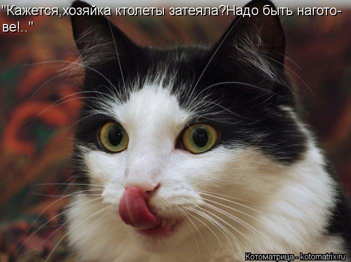 "Кажется,хозяйка ктолеты затеяла?Надо быть нагото- ве!.."... Котоматрица: "Кажется,хозяйка ктолеты затеяла?Надо быть нагото- ве!.."