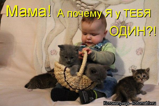 Котоматрица: Мама! А почему Я у ТЕБЯ ОДИН?!