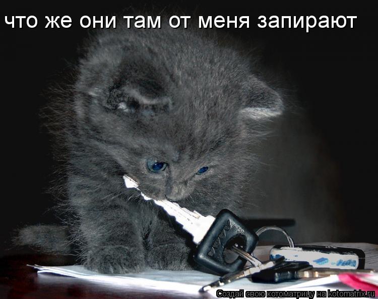 что же они там от меня запирают... Котоматрица: что же они там от меня запирают