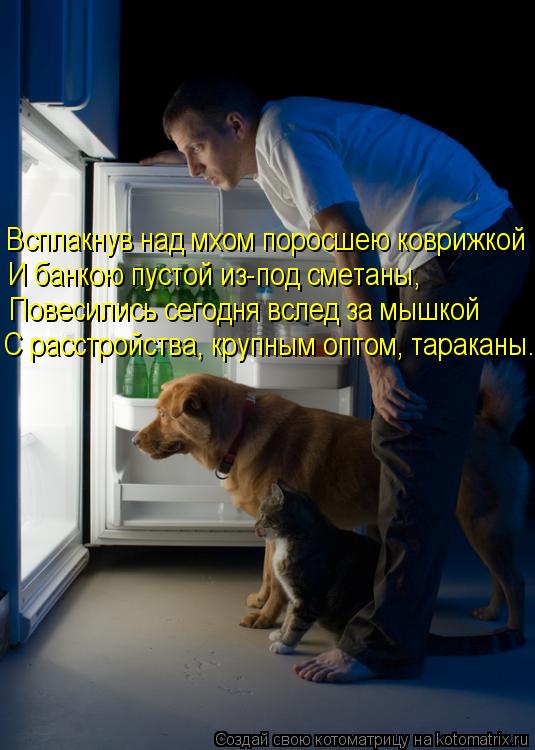 Всплакнув над мхом поросшею коврижкой И банкою пустой из-под сметаны, Повесились сегодня вслед за мыш... Котоматрица: Всплакнув над мхом поросшею коврижкой И банкою пустой из-под сметаны, Повесились сегодня вслед за мышкой С расстройства, крупным оптом, тар
