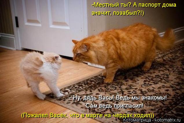 значит, позабыл?!) - Ну, дядь Вась! Ведь мы знакомы! -Местный ты? А паспорт дома Сам ведь пригласил... Котоматрица: значит, позабыл?!) - Ну, дядь Вась! Ведь мы знакомы! -Местный ты? А паспорт дома Сам ведь пригласил! (Пожалел Васёк, что в марте на чердак ходил))
