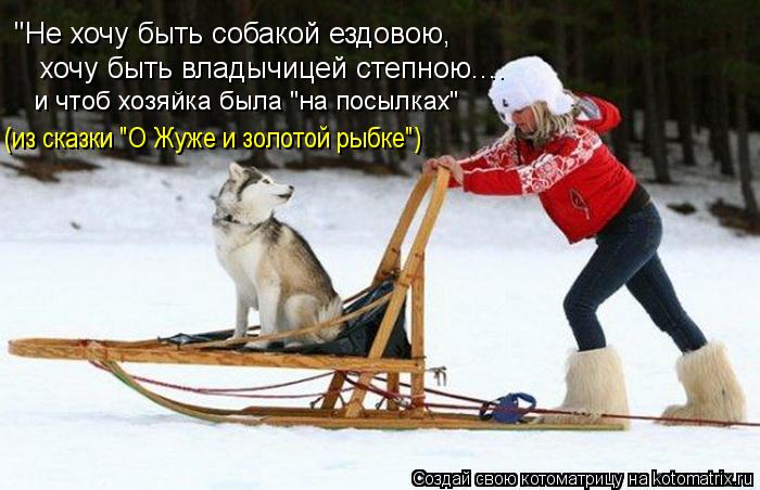 "Не хочу быть собакой ездовою, хочу быть владычицей степною.... (из сказки "О Жуже и золотой рыбке")... Котоматрица: "Не хочу быть собакой ездовою, хочу быть владычицей степною.... (из сказки "О Жуже и золотой рыбке") и чтоб хозяйка была "на посылках"