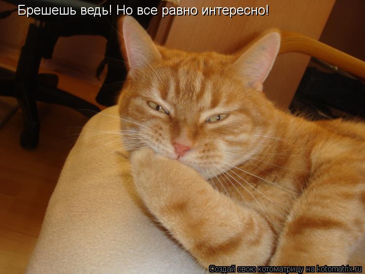 Котоматрица: Брешешь ведь! Но все равно интересно!
