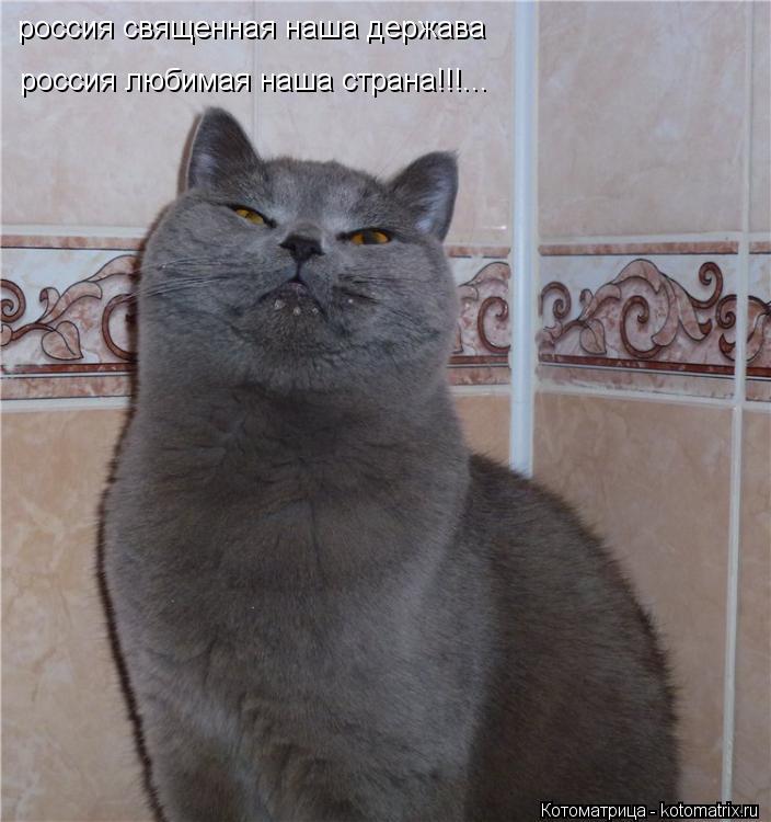 Котоматрица: россия священная наша держава россия любимая наша страна!!!...
