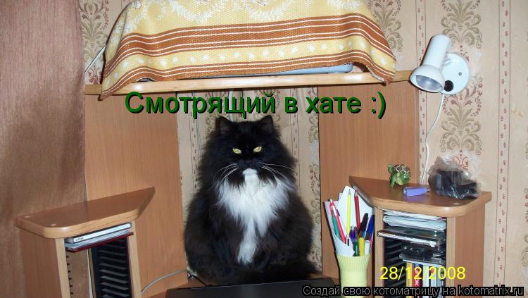 Котоматрица: Смотрящий в хате :)