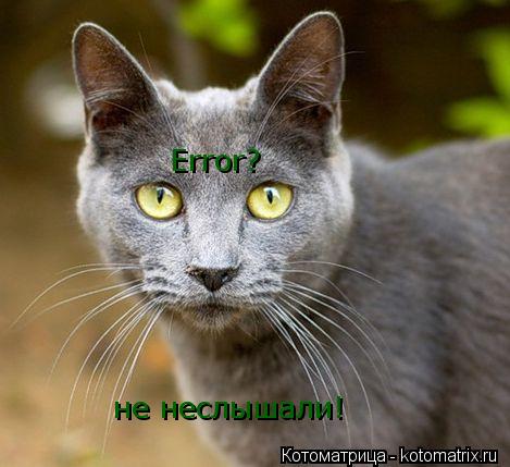 Котоматрица: Error? не неслышали!