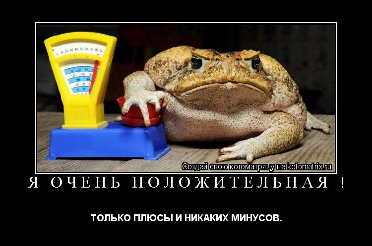 Я ОЧЕНЬ ПОЛОЖИТЕЛЬНАЯ ! ТОЛЬКО ПЛЮСЫ И НИКАКИХ МИНУСОВ.... Котоматрица: Я ОЧЕНЬ ПОЛОЖИТЕЛЬНАЯ ! ТОЛЬКО ПЛЮСЫ И НИКАКИХ МИНУСОВ.