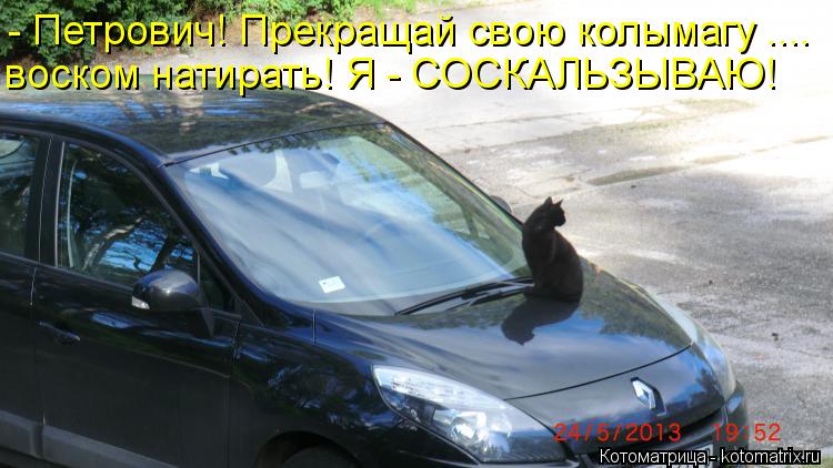 - Петрович! Прекращай свою колымагу .... воском натирать! Я - СОСКАЛЬЗЫВАЮ!... Котоматрица: - Петрович! Прекращай свою колымагу .... воском натирать! Я - СОСКАЛЬЗЫВАЮ!