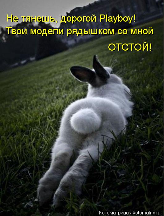 Твои модели рядышком со мной Не тянешь, дорогой Playboy! ОТСТОЙ!... Котоматрица: Твои модели рядышком со мной Не тянешь, дорогой Playboy! ОТСТОЙ!