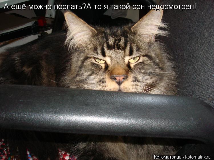 -А ещё можно поспать?А то я такой сон недосмотрел!... Котоматрица: -А ещё можно поспать?А то я такой сон недосмотрел!