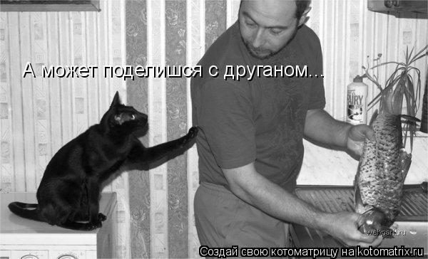 А может поделишся с друганом...... Котоматрица: А может поделишся с друганом...