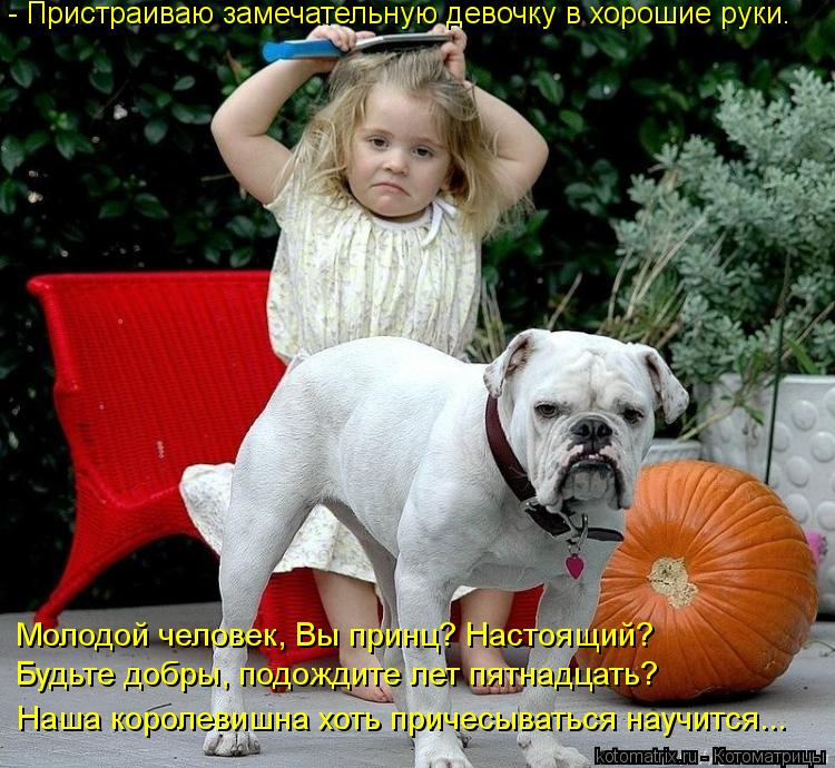 - Пристраиваю замечательную девочку в хорошие руки. Молодой человек, Вы принц? Настоящий? Будьте добр... Котоматрица: - Пристраиваю замечательную девочку в хорошие руки. Молодой человек, Вы принц? Настоящий? Будьте добры, подождите лет пятнадцать? Наша корол